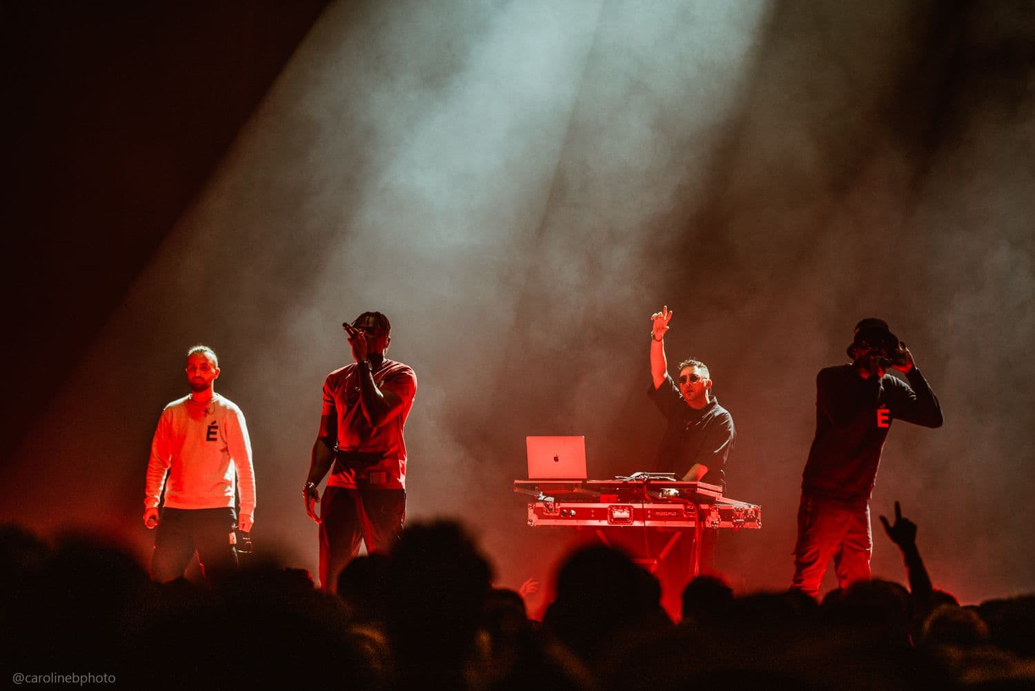 3% Artiste photographie concert live Zenith (2).jpg